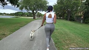 Diamond Kitty'Nin Anal Şehrindeki Anal Yolculuğu