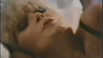 Amerikan Şeker Örneklerinin Tadına Bakın