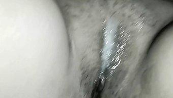 Shut Ki Chatni Bnai Sert Anal Tedavi Alıyor