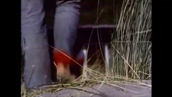 Georgina Spelvin Ile Retro Iç Çamaşırı Ve Lezbiyen Eylemi