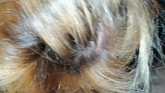 Orta Yaşlı Rus Kadın, Genç Bulgar Adama Oral Seks Yapıyor