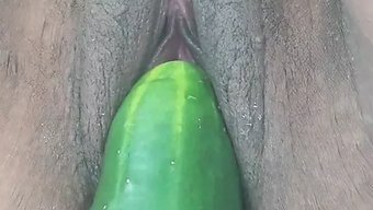 Kolombiyalı Genç, Güzel Ve Şişman Bir Kadın, Büyük Bir Salatalık Ve Sigarayla Zevkini Keşfediyor