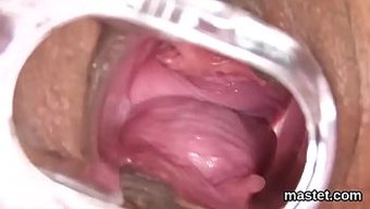 Duygusal Çek Kedisi, Sıkı Amını Tuhaf Seks Oyuncaklarıyla Germektedir