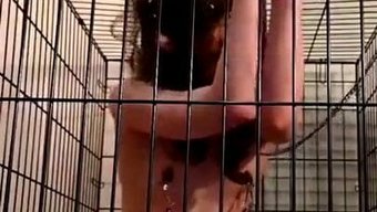 Saniyede 60 Karelik Yüksek Kaliteli Bağlama Amcık Derlemesi