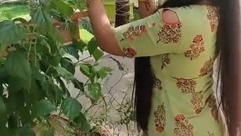 Bhagavathy'Nin Baştan Çıkarıcı Kıvrımları Ve Olgun Güzelliği Sergileniyor