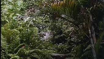 Zevke Davet: Beş Kişinin Heyecanını Yaşayın