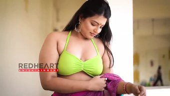 Geleneksel Saree'De Duygusal Hint Güzelliği - Saree Meraklısı - Nancy