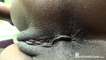 Pixies Bol Arkalarını Sergiliyor Ve Geniş Açıyorlar