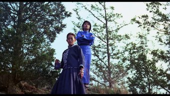 Vintage Güzellik: Retro Porno Cazibesi