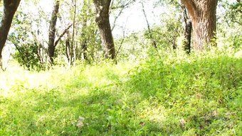 Mia'Nın Su Sporları Macerası Işemeli