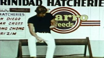 Lasse Braun: Yetişkin Eğlence Endüstrisinde Tarihi Bir Figür