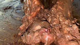 Sıcak Duş Oyunu: Islak Ve Vahşi Kek Oturma Tahrik Edici