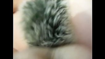 Seks Oyuncakları Ve Popo Fişi Ile Anal Oyun Dünyasını Keşfedin