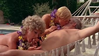 Vintage Delight: Jacques Insermini'Nin Girişleri Cilt 8