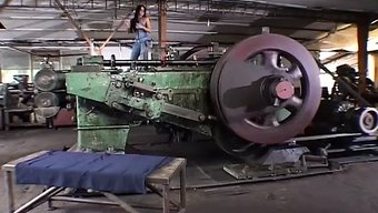 Esmer Güzellik, Sıcak Bdsm Iç Çamaşırı Videosunda Hakimiyet Kuruyor