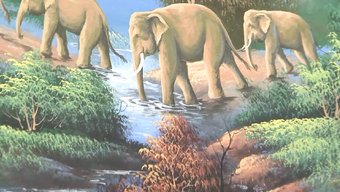 Genç Latin Kız, Acımasız Bir Afrikalı Erkek Tarafından Götü Yalatılıyor