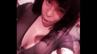 Dolgun Dişi Kediyle Duygusal Bir Solo Seans