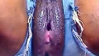 Kıvrımlı Izleme Zevki Için En Son Kısa Şortlar!