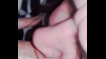 Amatör Çift, 2004 Videosunda Cinsel Arzularını Keşfediyor