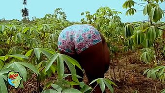 Horoz Açlığı Çeken Bebek, Vahşi Bir Açık Hava Orgazmında Amını Parmaklatıp Sıvazlıyor